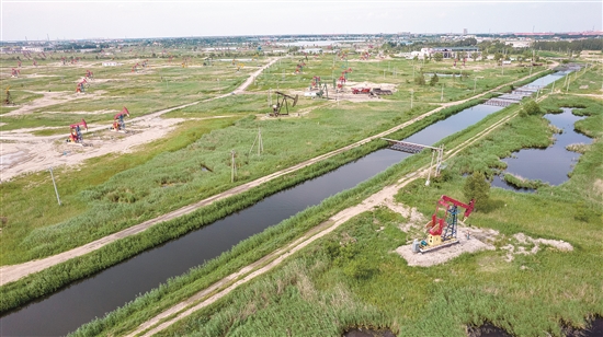 企业站建设_企业站点的建设可以分为_企业建站是什么意思