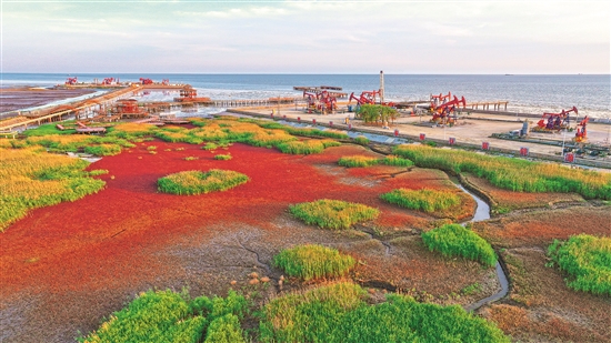 中国石油扎实开展节能降碳工作观察