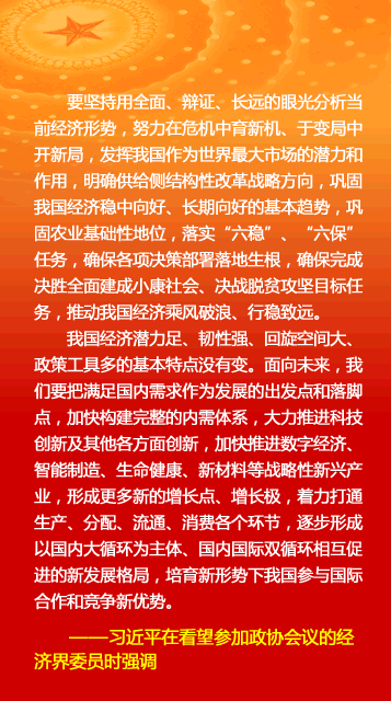 2020两会报告中对于G_2020个人信用报告图解(2)